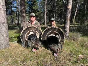 Turkeys13